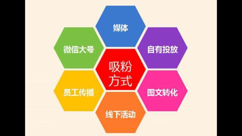 网站推广与SEO：一场精准与广泛的较量